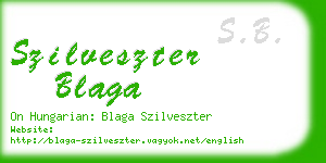 szilveszter blaga business card